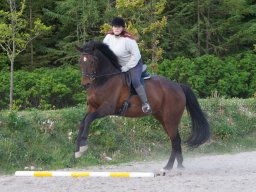 IMG_0537_web